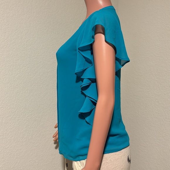 Sheer Ruffle Blue Roz & Ali Blouse (XS) - Picture 2 of 5